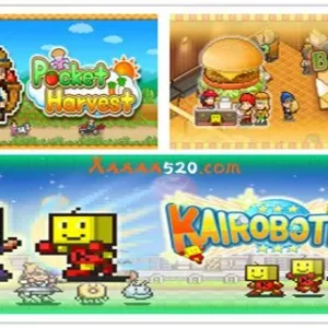 开罗物语合集12|官方中文|星之开罗君 +晴空农场物语+创意汉堡物语|3合1-Alimm.Com-码²