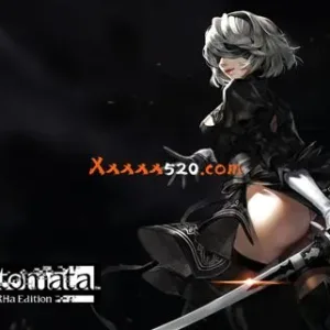 PC Switch模拟器|官方中文|尼尔 机械纪元整合版-Alimm.Com-码²