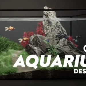 水族箱设计模拟器|官方中文|Build.20230222-新增水世界物品-修复已知问题-Alimm.Com-码²