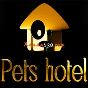 宠物旅馆 PETS HOTEL|官方中文-Alimm.Com-码²