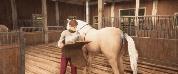 图片[14]-我的马 心灵契约 My Horse Bonded Spirits|官方中文-Alimm.Com-码²