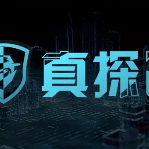 真探2|官方中文|Build.14496960-优化文本+修复闪退-Alimm.Com-码²