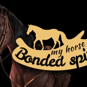 我的马 心灵契约 My Horse Bonded Spirits|官方中文-Alimm.Com-码²